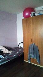 Blk 323 Woodlands Street 32 (Woodlands), HDB Executive #459418291
